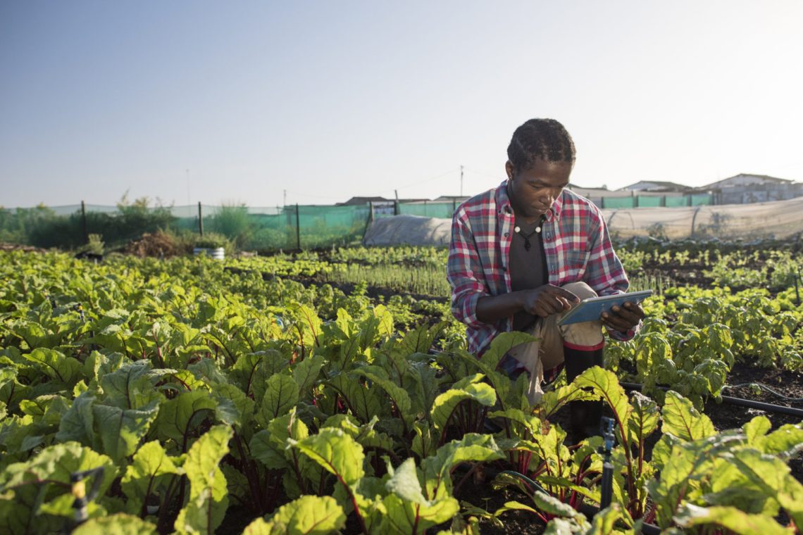 youth-african-agritech-innovators-receive-$1.5m-investment-to-accelerate-agriculture-across-africa