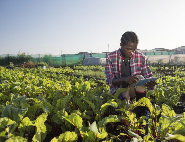 youth-african-agritech-innovators-receive-$1.5m-investment-to-accelerate-agriculture-across-africa