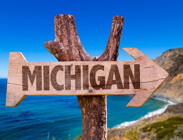 Michigan wooden sign