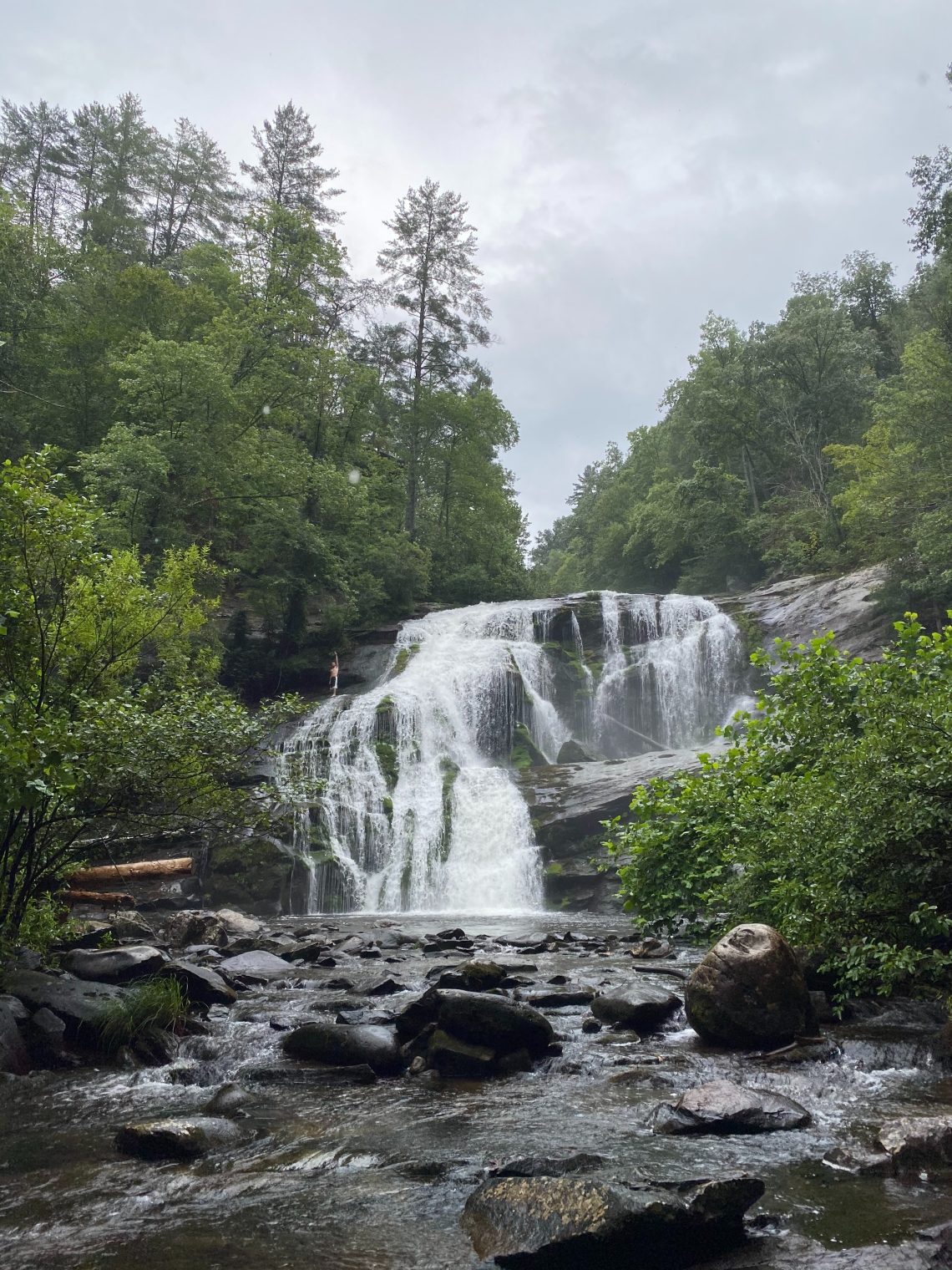 pigeon forge, TN