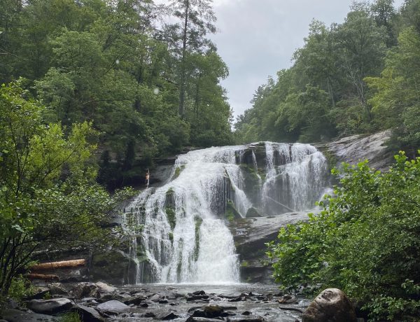 pigeon forge, TN