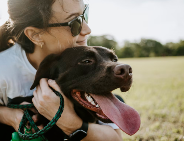 Ways Pets Improve Our Mental Health