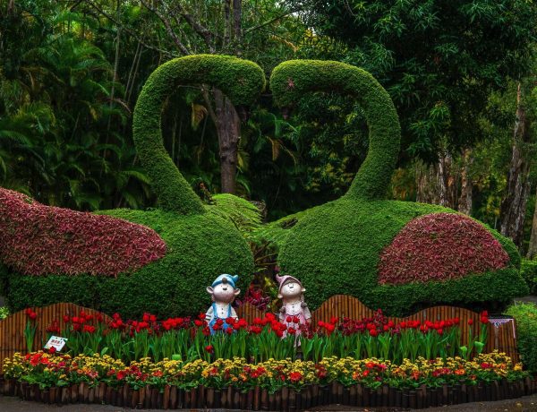 landscaping your garden