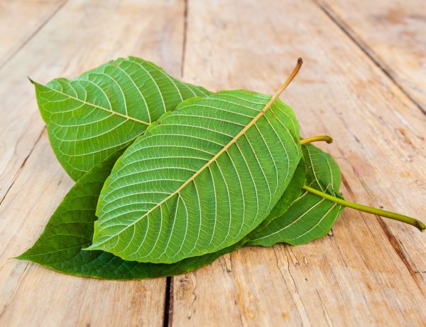kratom buying mistakes