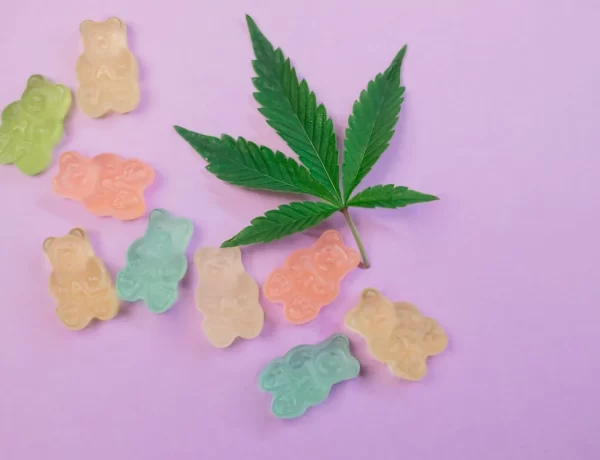 California's Cannabis Industry