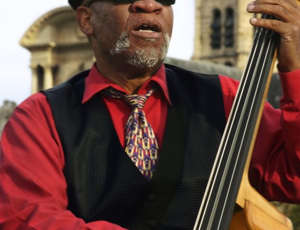 evolution of the double bass