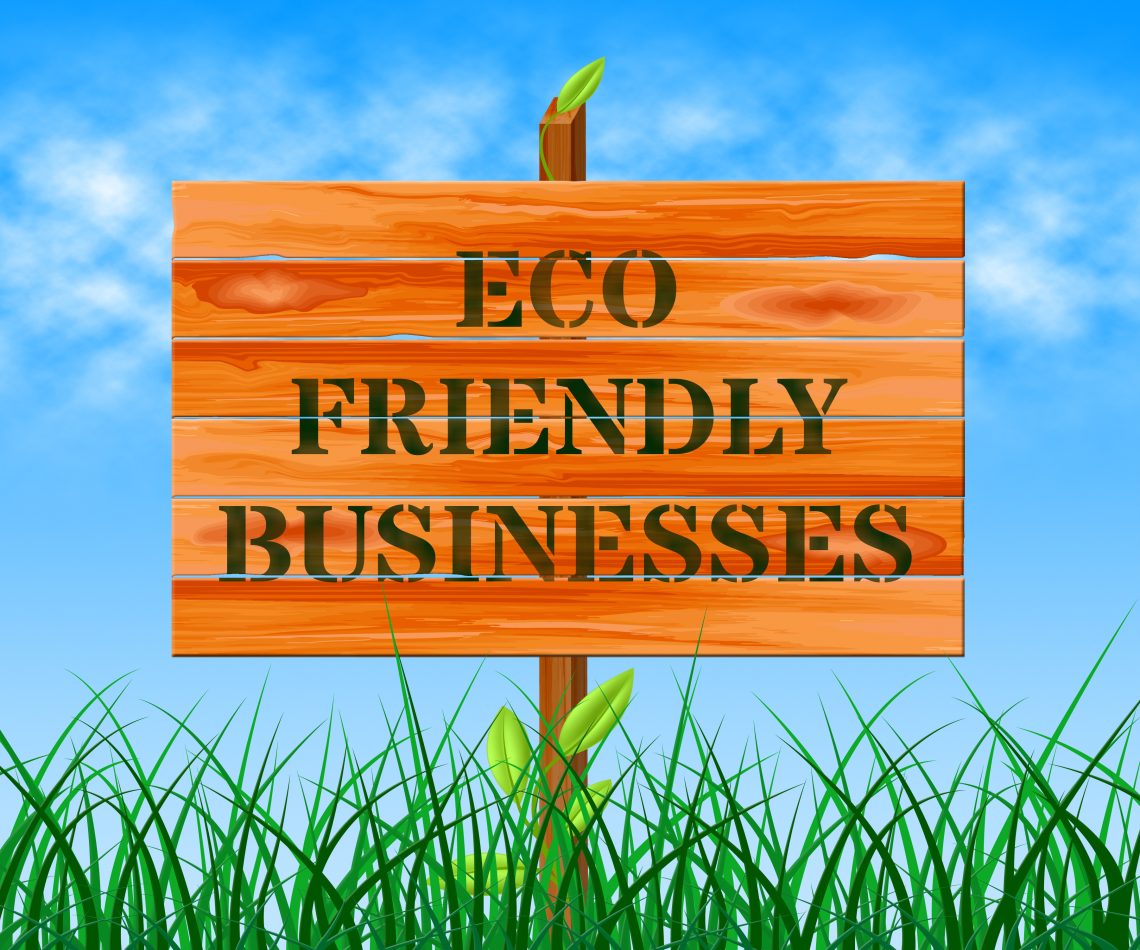 Top Eco-Friendly Businesses