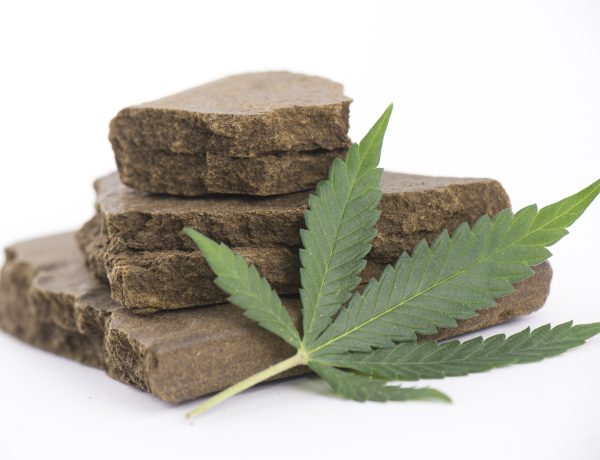 Hashish for Sale