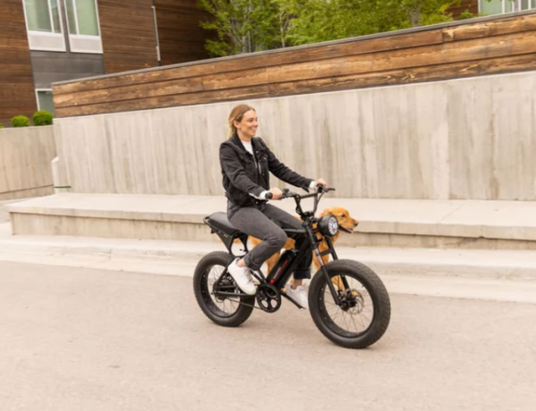 Macfox Electric Bike