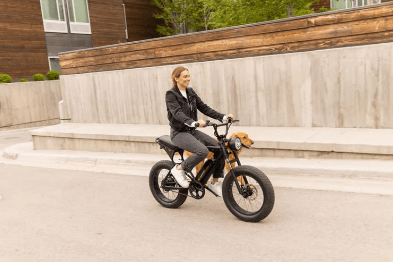 Macfox Electric Bike