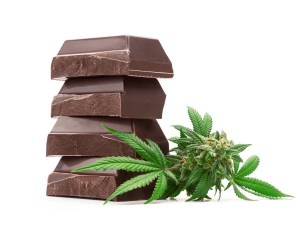 CBD chocolate bars