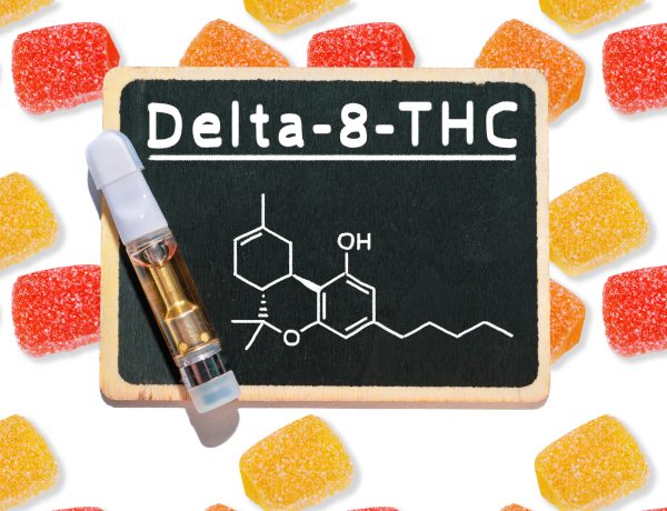 THC Edibles to Try