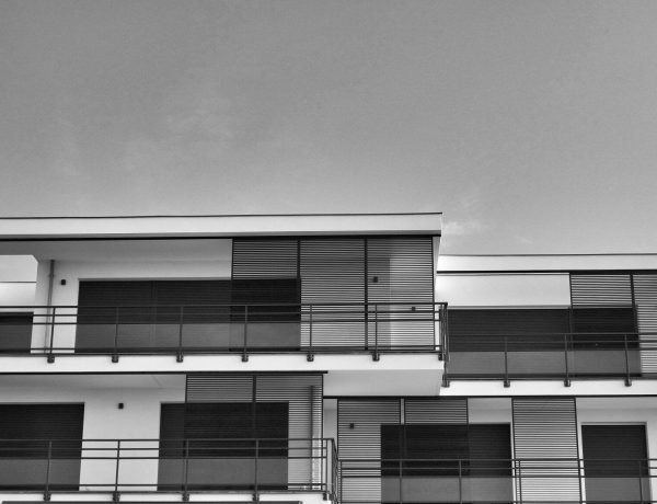 Modern Flat Roof Homes