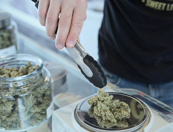 Role of Terpenes in Cannabis