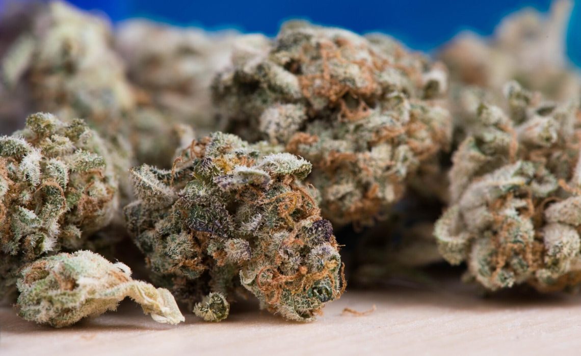 cannabis consultation