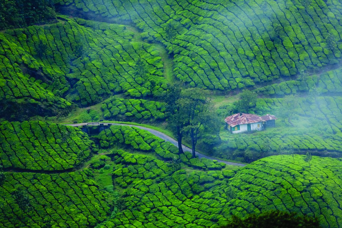 city of Munnar