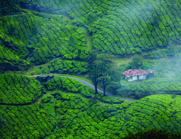 city of Munnar