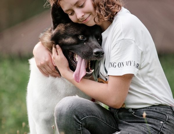 Keeping Pets Safe