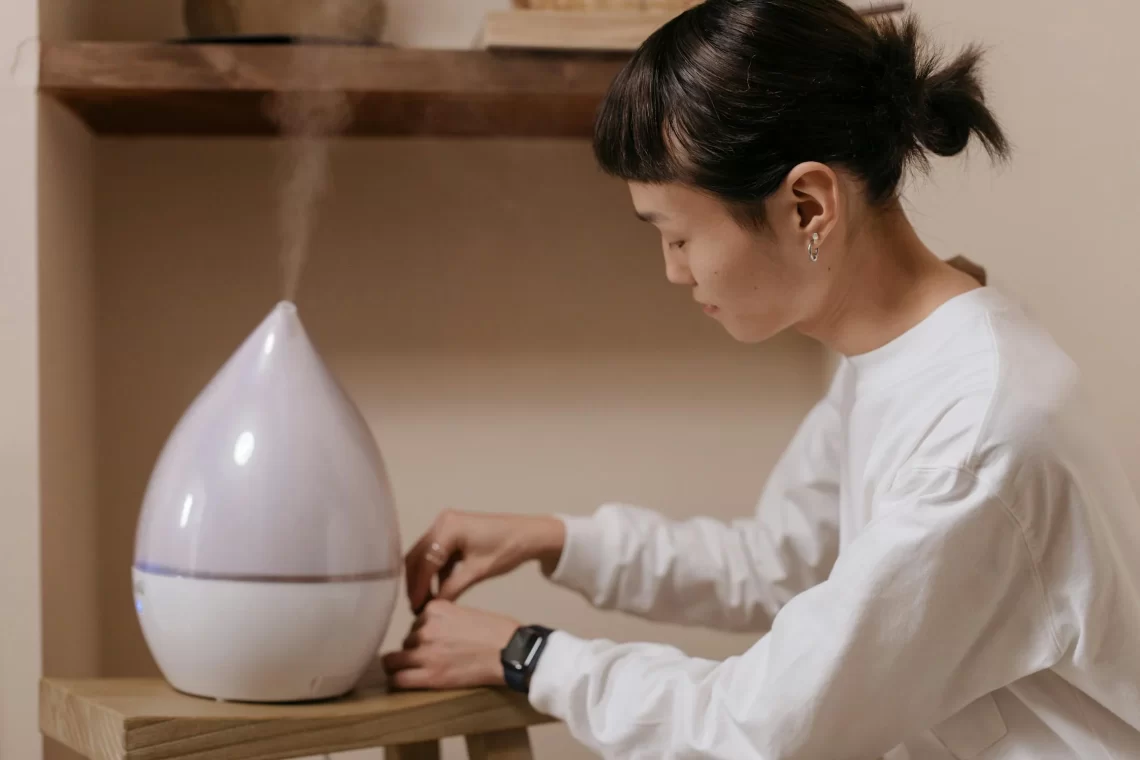 Humidifier in Your Home