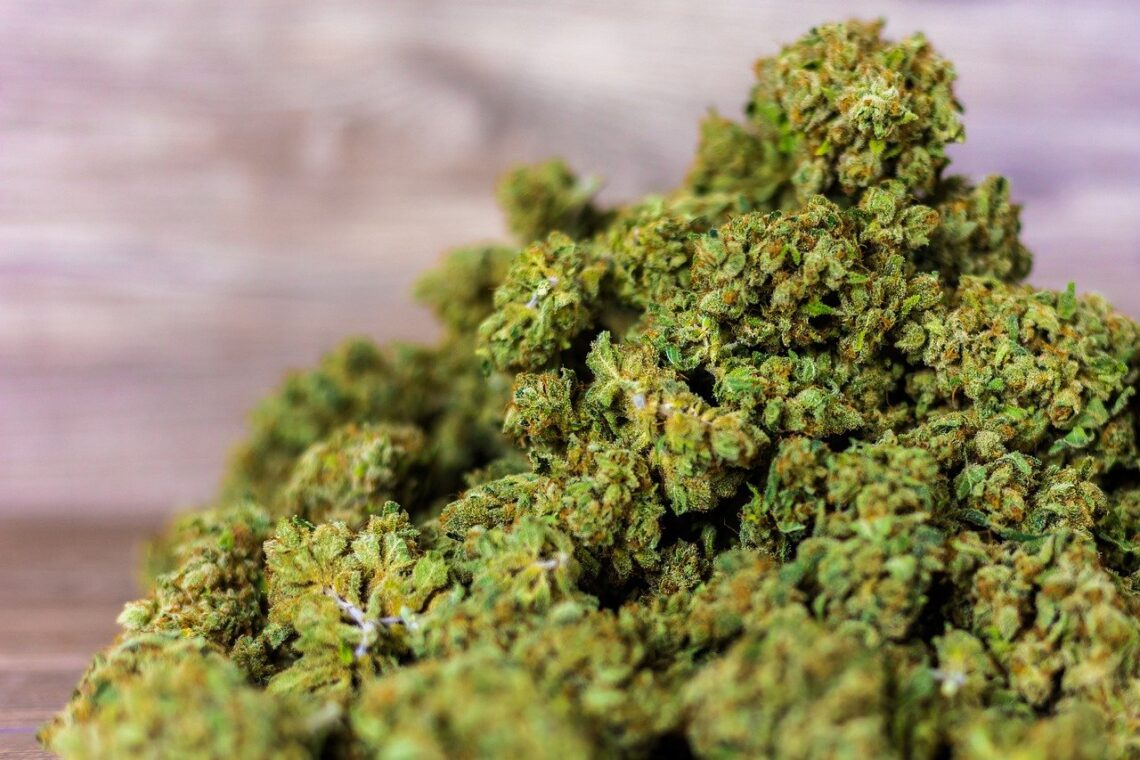 THCA edibles