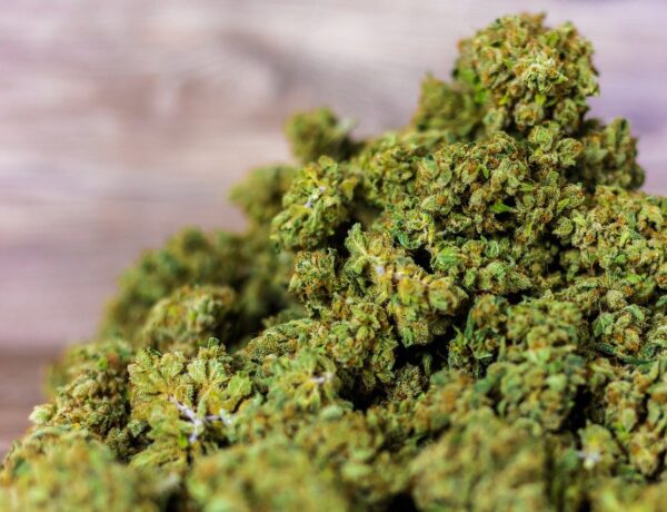 THCA edibles