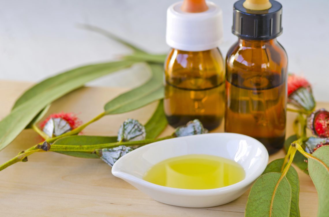 eucalyptus for relaxation