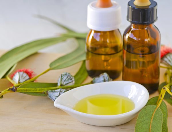 eucalyptus for relaxation