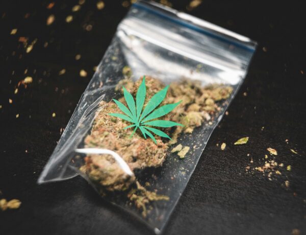 cannabis at a reasonable price