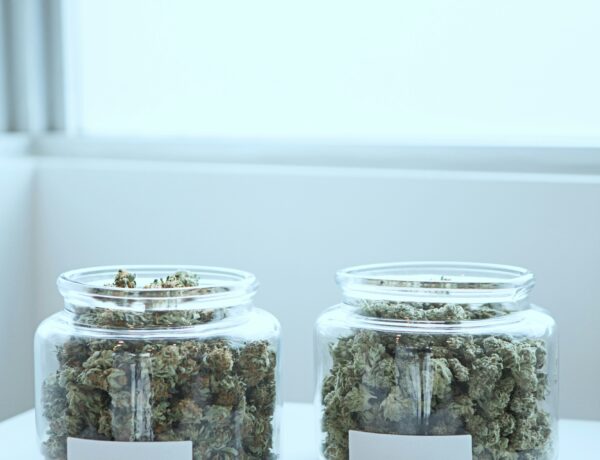 Dispensary Price Menus
