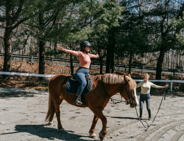 Woman riding horse in park