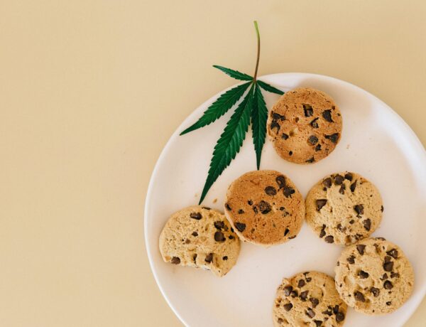 Cookies on white ceramic plate