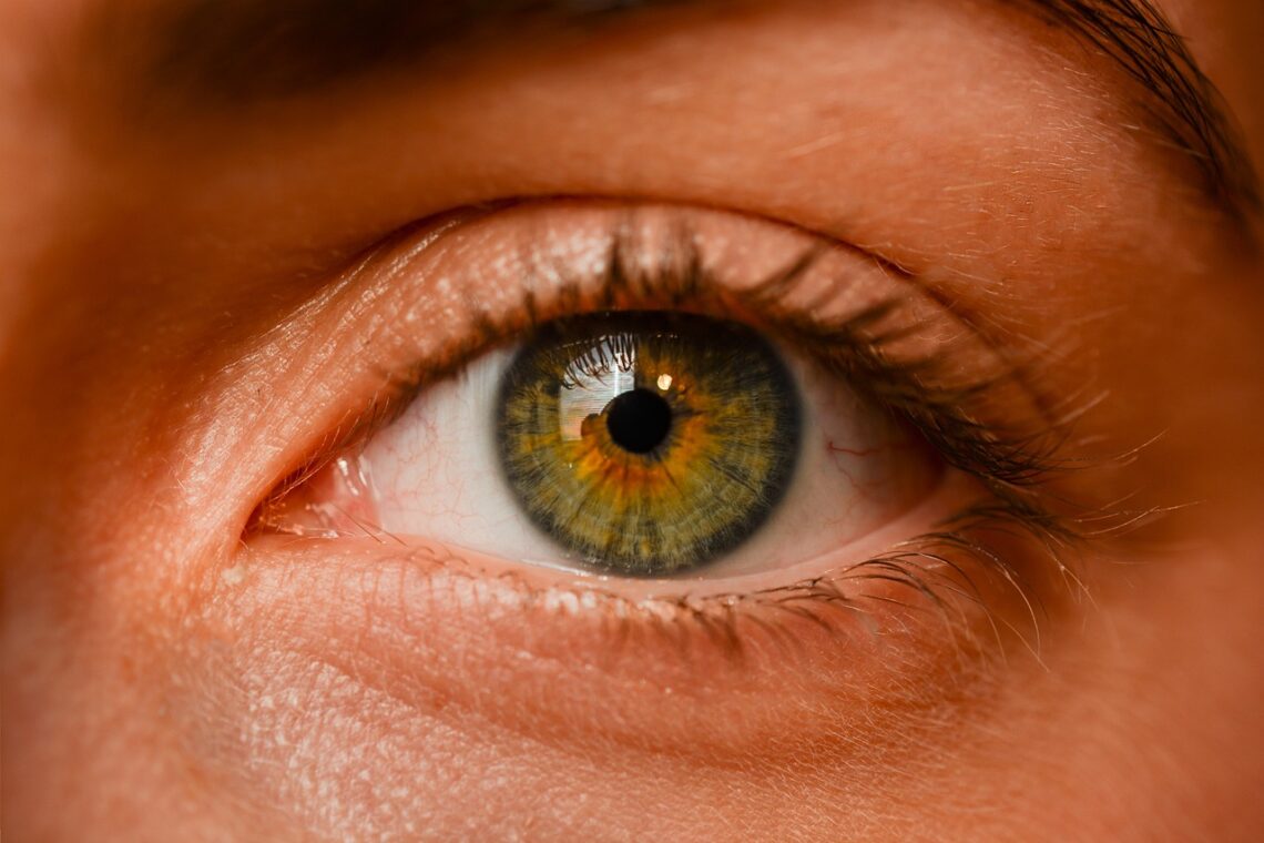 Eye Instruments