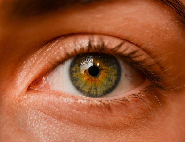 Eye Instruments