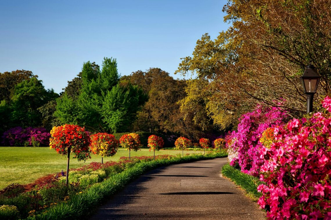 spending time in nature