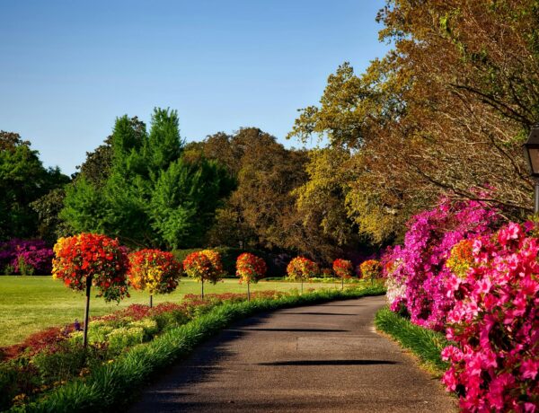 spending time in nature