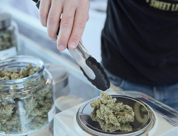 Best Deals at Dispensaries