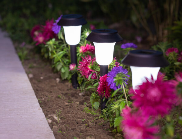 solar powered lights