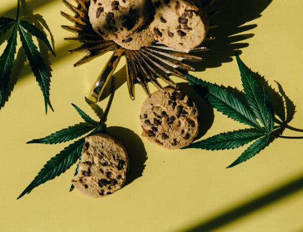 Different Types of Edibles