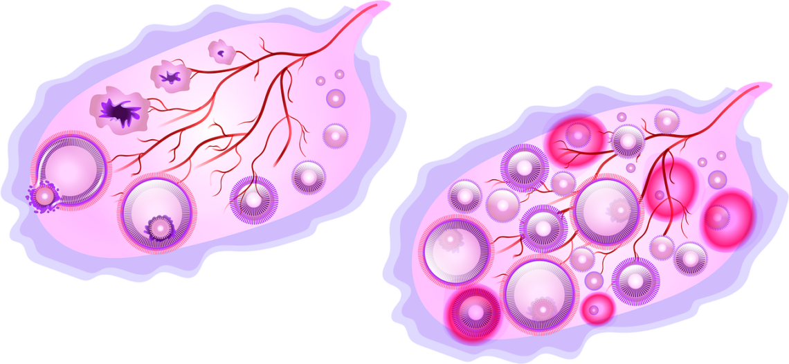 basal body temperature