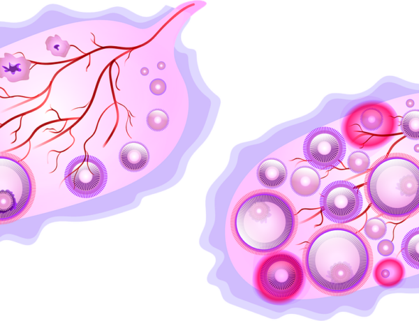 basal body temperature
