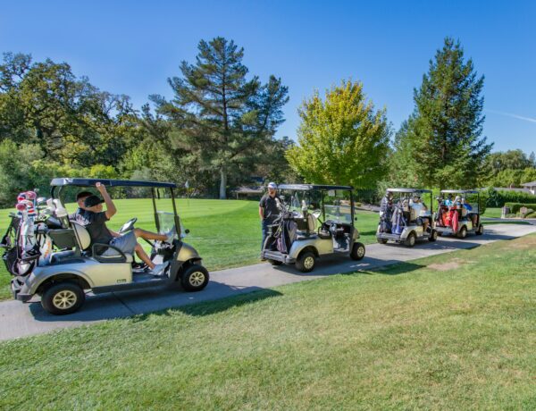 Golf Cart Accessories