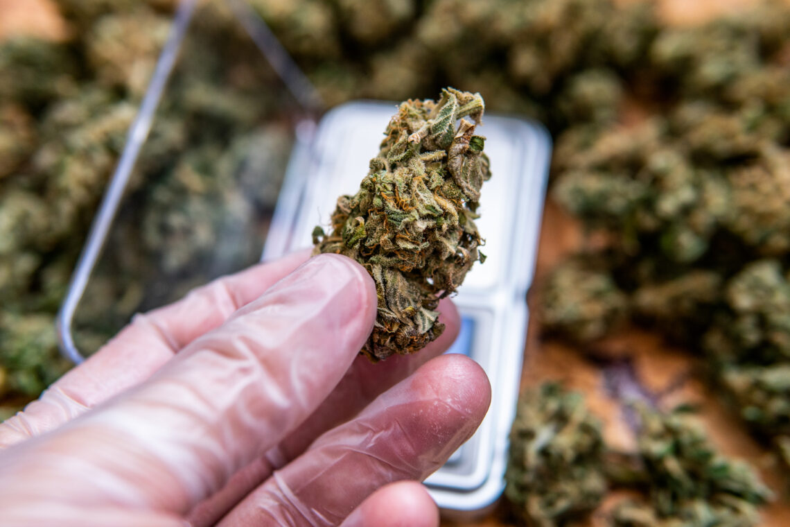 THCA flower