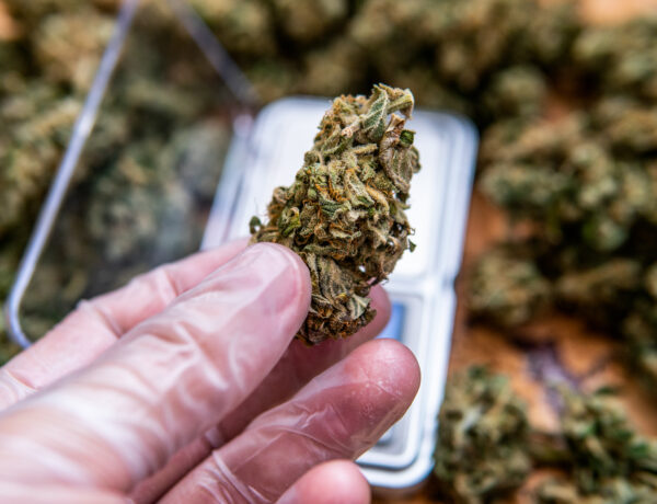THCA flower