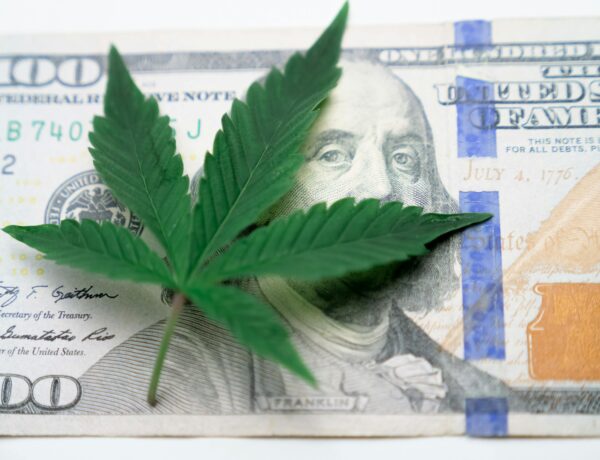 Financial Tips for Entrepreneurs in the Cannabis Industry