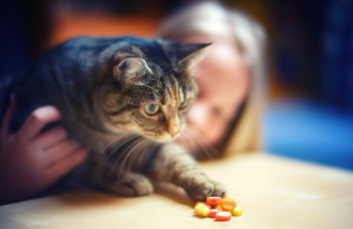 Supplements for Cats