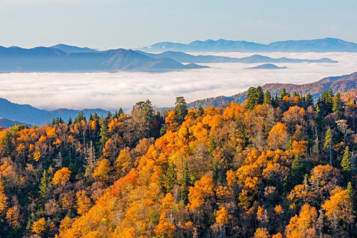 Pigeon Forge
