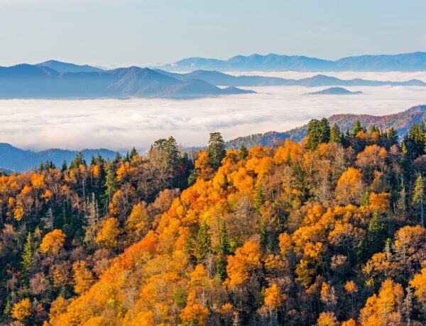 Pigeon Forge