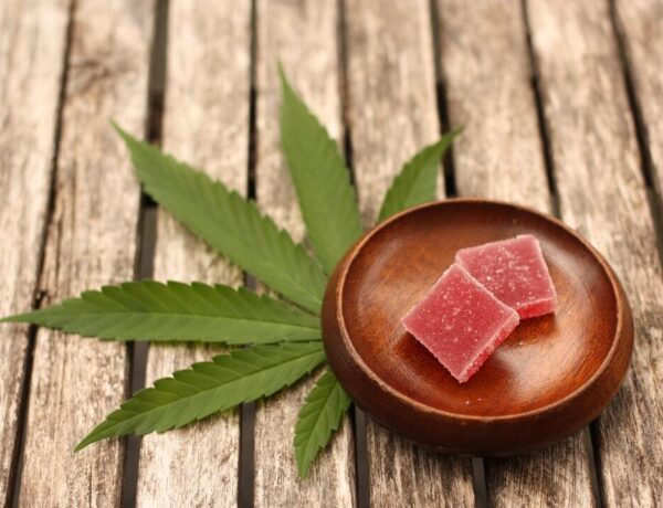 cannabis edibles