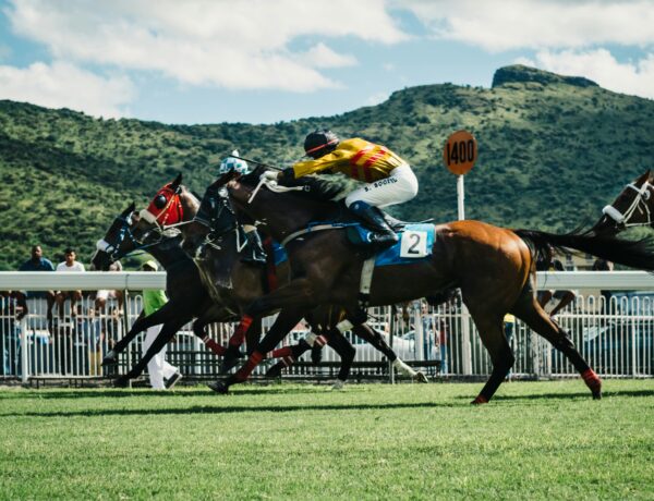Belmont Betting Odds
