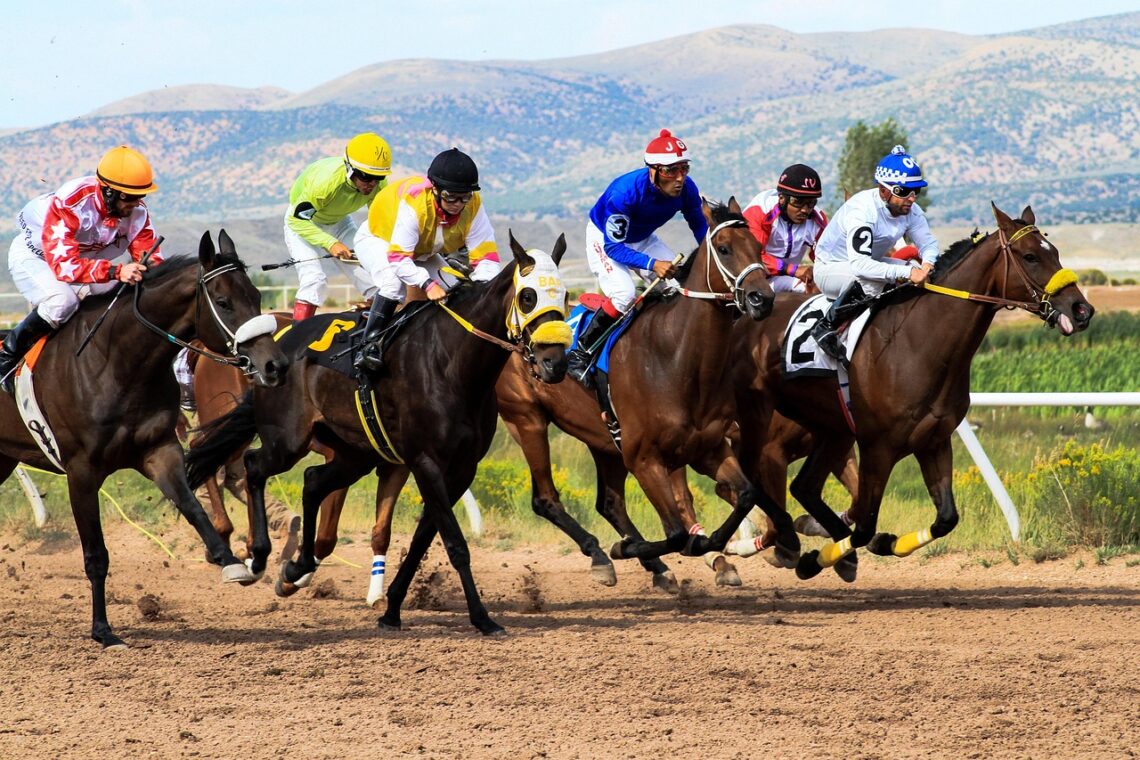 sports betting